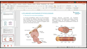 Cours du mercredi 16 octobre 2024