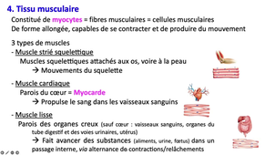 Cours du vendredi 15 novembre 2024