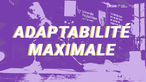 Alexandra Godey - Adaptatbilité maximale