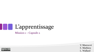 MP HVC_M1_Capsule 2.mp4